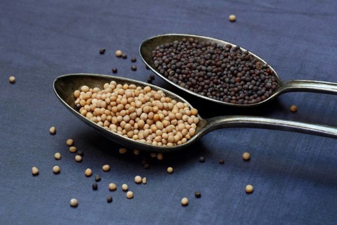 White and black mustard seeds in spoon
