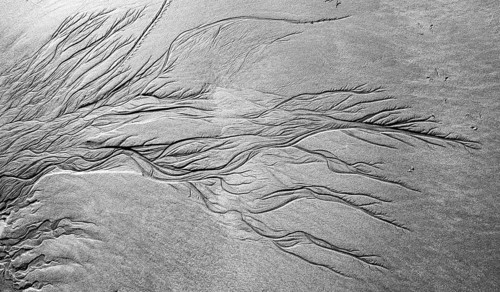 Meandering pattern of run-off water in sand