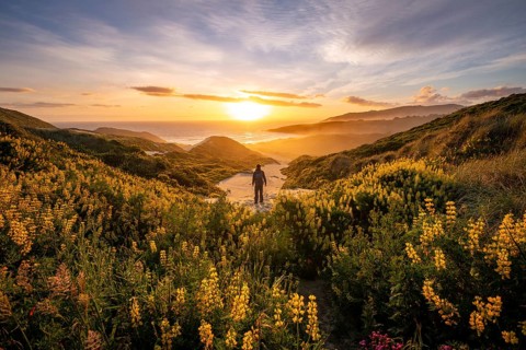 Young man looking at bay