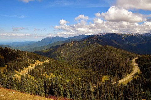 Road to Hurricane Ridge Visitor Center