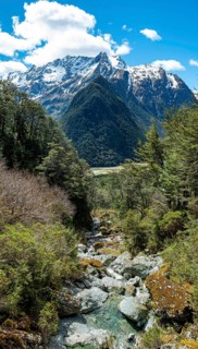 Mountain stream