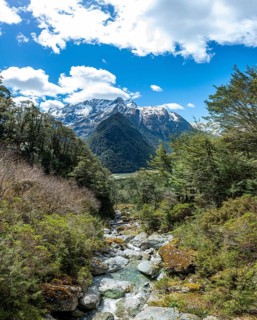 Mountain stream