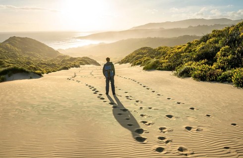 Young man in the dunes