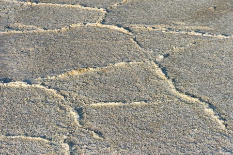 Crust of rock salt on the Assale salt lake