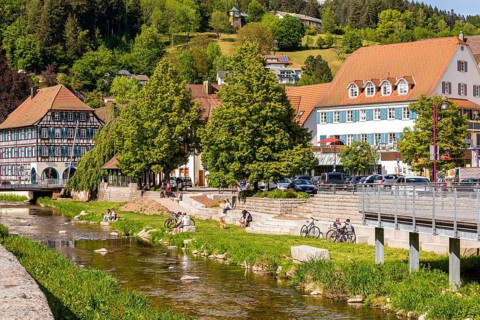 Houses in the Old Town