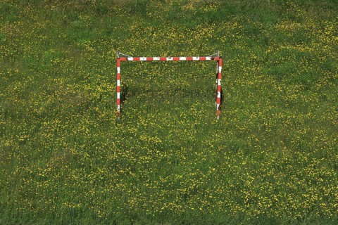 Meadow