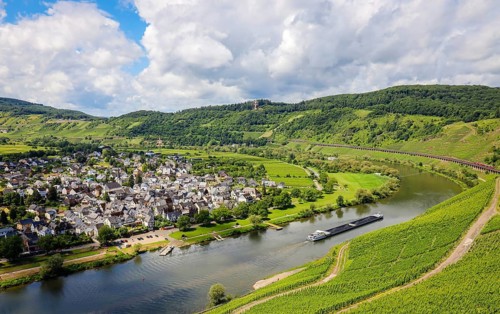 Vineyards on the Moselle