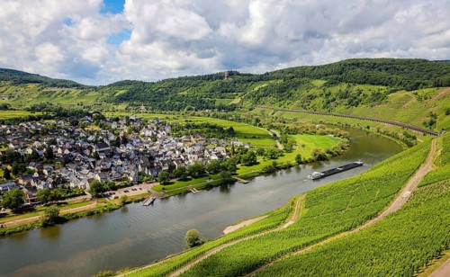 Vineyards on the Moselle