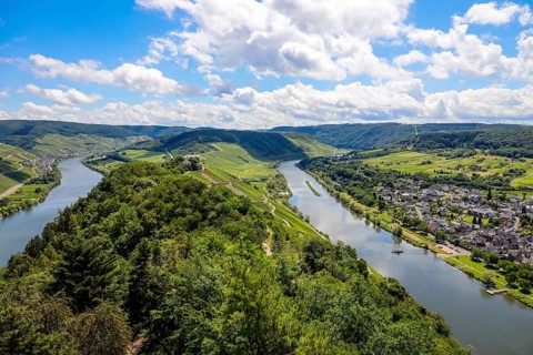 Marienburg above vineyards on the Moselle