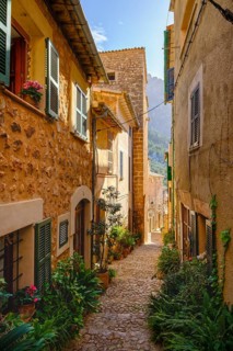 Flowerpots in alley with typical stone houses
