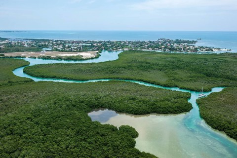 Aerial view of the mangroves