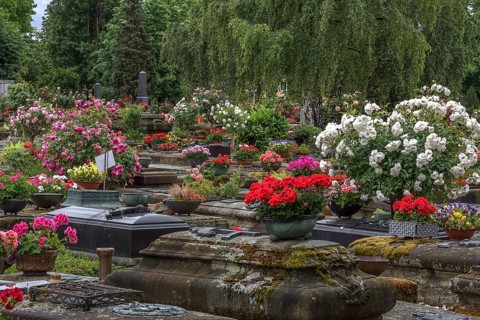Old graves with floral decoration