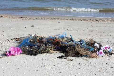 Plastic garbage on the beach of the uninhabited North Sea island Minsener Oog