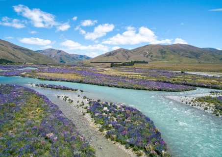Riverbed of the Ahuriri River