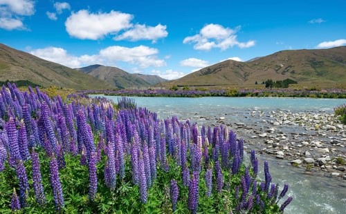 Ahuriri River