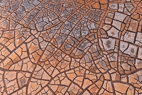 Cracks in clay soil form mosaic-like structure