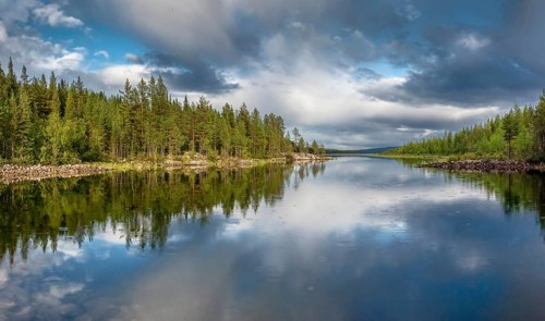 Nordic forest reflected in a lake