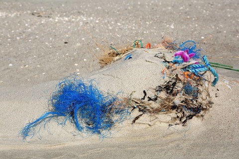 Plastic garbage on the beach of the uninhabited North Sea island Minsener Oog