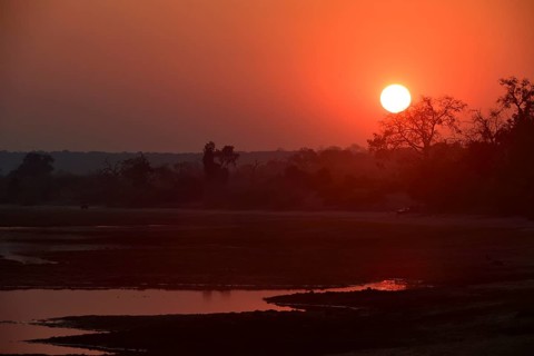 Sunrise safari vehicles along the Chobe River