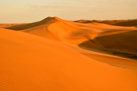Sand dunes of the Namib Desert