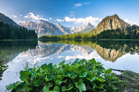 Almsee with reflection