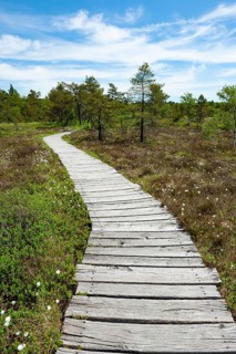 Boarded footpath