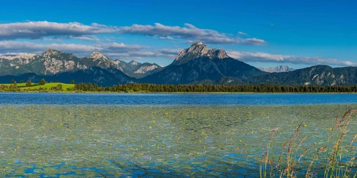 Hopfensee with Water lilies
