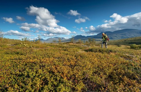 Female hiker in wide landscape