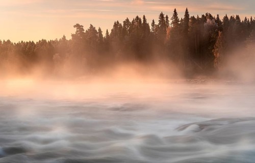Autumn atmosphere with fog on the river in the evening light