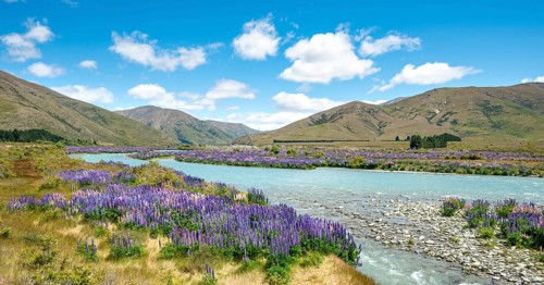 Ahuriri River