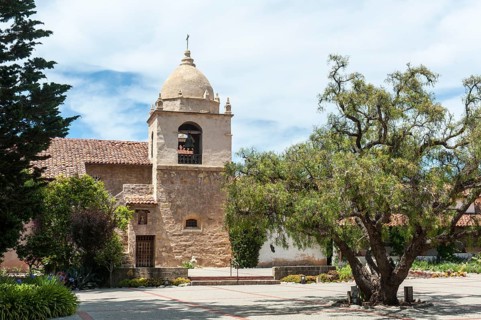 Catholic Church
