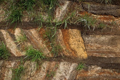 Outer wall