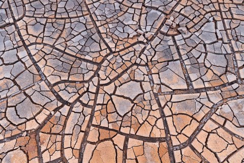 Cracks in clay soil form mosaic-like structure