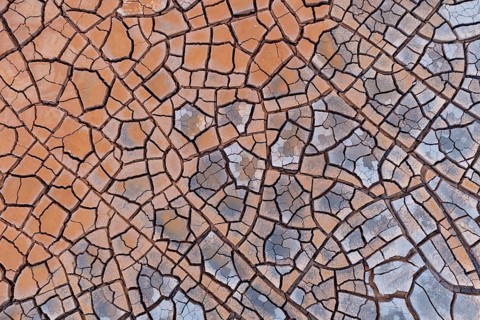 Cracks in clay soil form mosaic-like structure