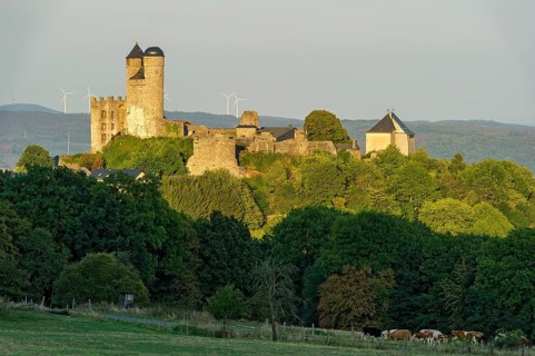 Ruins of the medieval castle Greifenstein
