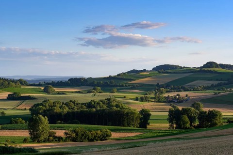 Evening mood in the volcanic landscape Hegau with Mt Hohenstoffeln