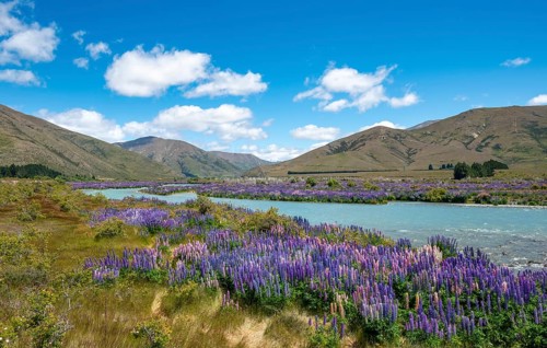 Ahuriri River