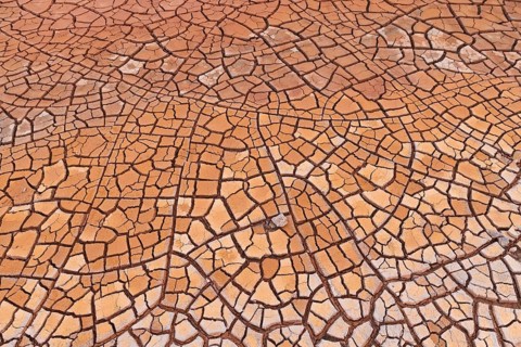Cracks in clay soil form mosaic-like structure