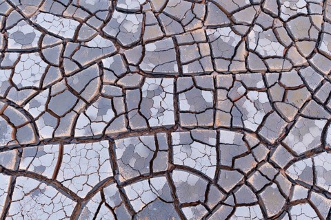 Cracks in clay soil form mosaic-like structure