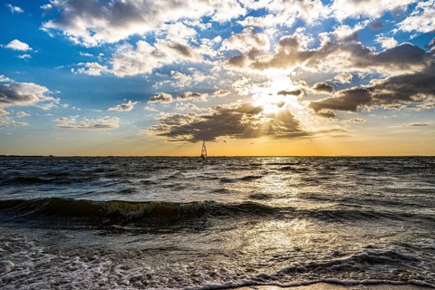 Windsurfer
