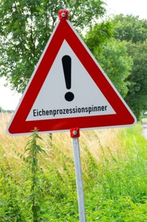 Traffic sign