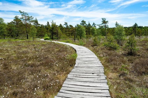 Boarded footpath