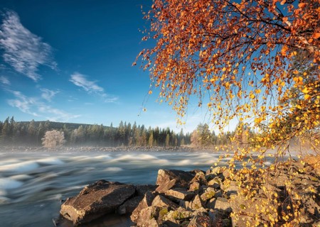 Autumn atmosphere with fog on the river in the evening light