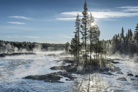 Autumn atmosphere with fog on the river in the evening light