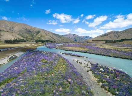 Riverbed of the Ahuriri River