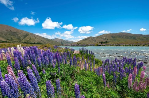 Ahuriri River