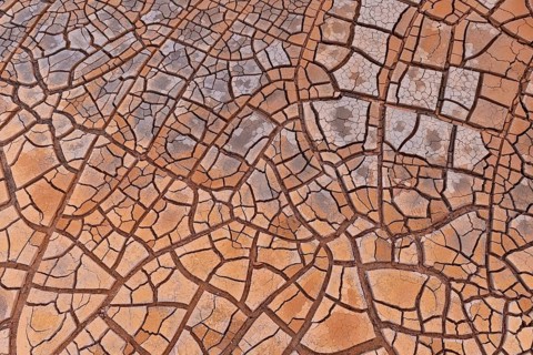 Cracks in clay soil form mosaic-like structure
