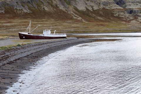 Shipwreck of the Gaoar