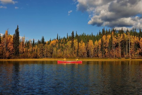 Couple canoeing in lake