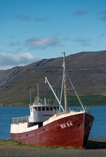 Shipwreck of the Gaoar